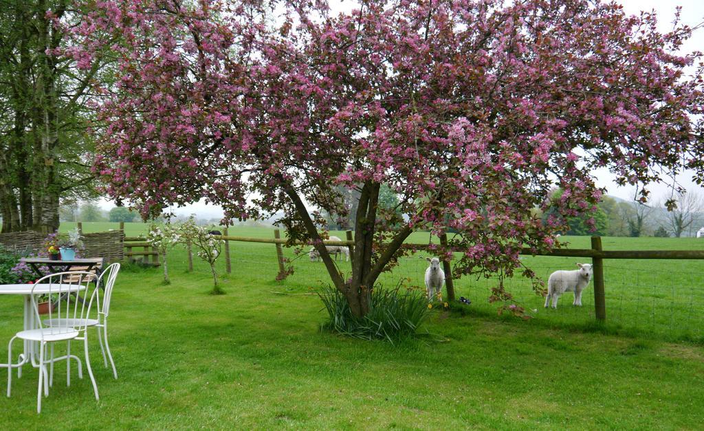 לינה וארוחת בוקר Eaton  Yew Tree Farm מראה חיצוני תמונה