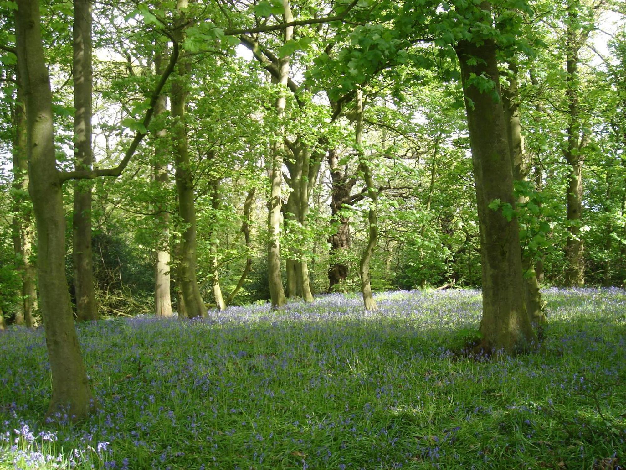 לינה וארוחת בוקר Eaton  Yew Tree Farm מראה חיצוני תמונה